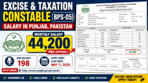 Excise and Taxation Constable (BPS-05) Salary in Punjab